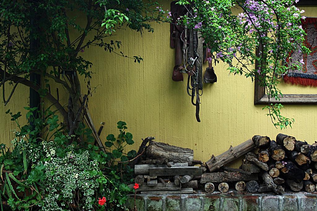 Hostal Saint Mary'S Tababela Εξωτερικό φωτογραφία