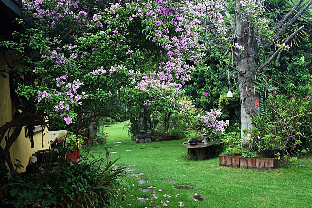Hostal Saint Mary'S Tababela Εξωτερικό φωτογραφία